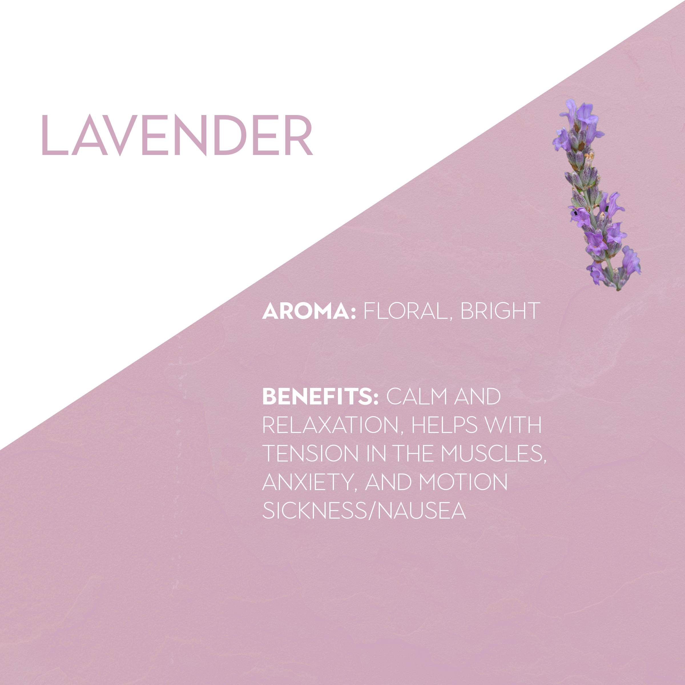 Lavender Aromatics Wellness