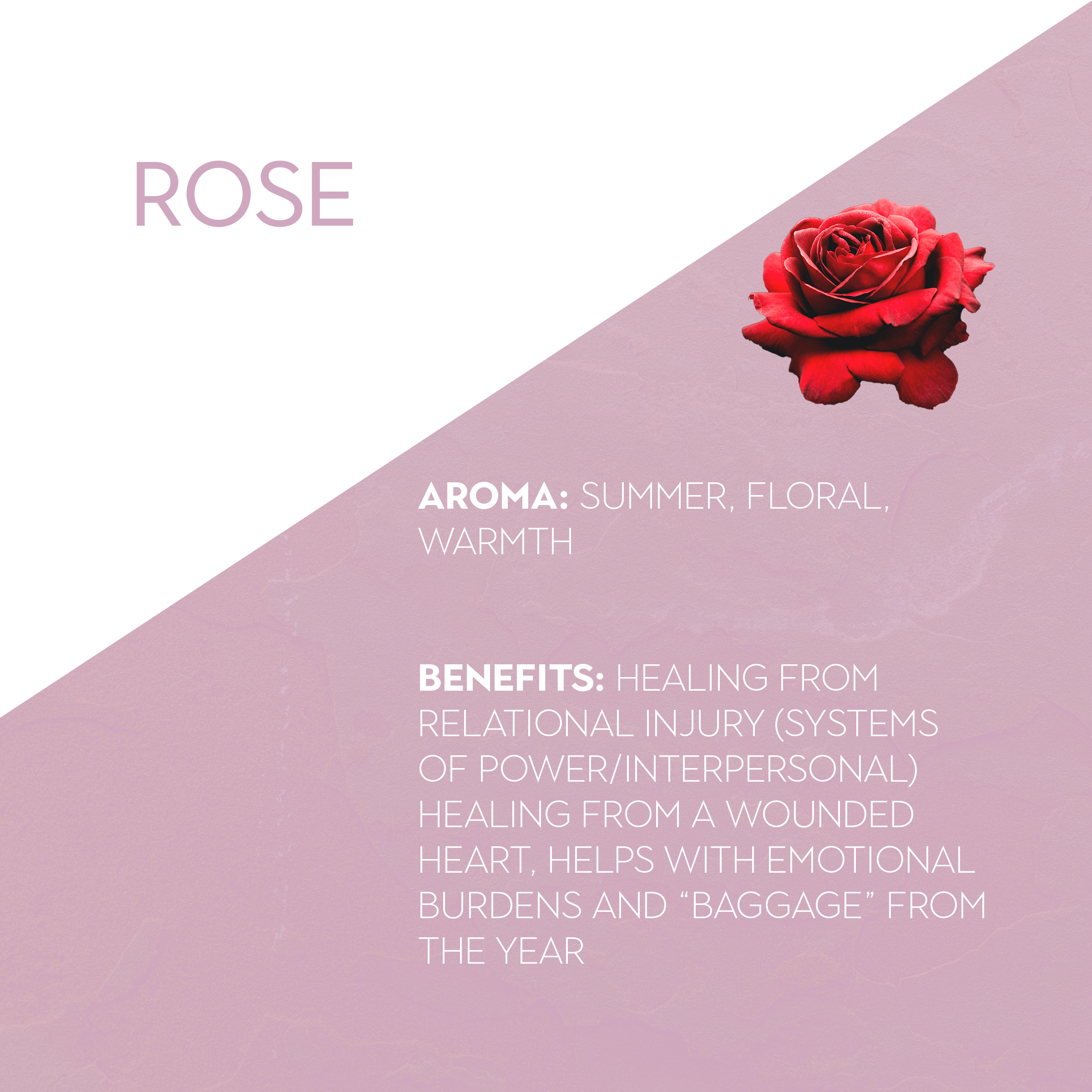 Rose Aromatics Wellness