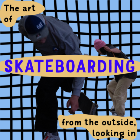 Skating Story
